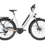 Gazelle Ultimate T10