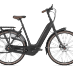 Gazelle Arroyo C8 Elite