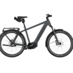 Riese & Müller Charger5 Pinion HS 45km/t