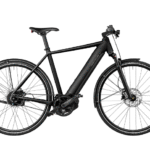 Riese & Müller Roadster4 Vario Kiox300