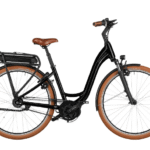 Riese & Müller Swing 4 m. Kiox 300