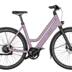 Riese & Müller Culture Mixte