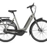 Batavus ALTURA POWER+