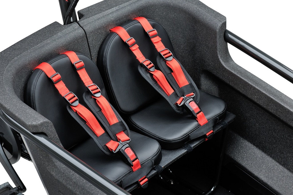 728258_4dcb8b3157 Pudesæt til bænk - Batavus Fier - Billede 1