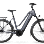 Velo De Ville AEB 890 Pro Trapez