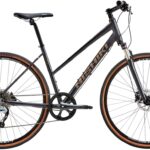 Nishiki Comp X-Nine Dame