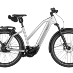 Riese & Müller Charger5 Mixte vario T Kiox 500