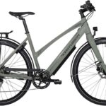 Nishiki Urban E Dame