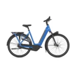 Gazelle ORANGE C8 HMB Testcykel