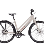 Trek Inbound+ 2 B Lowstep